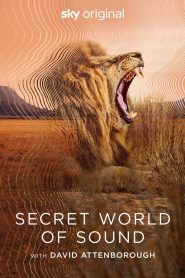 Secret World of Sound with David Attenborough 2024